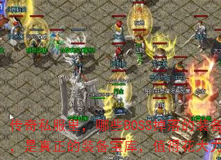 ˽ЩBOSSװƷװ⣬ֵûȥ