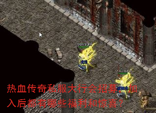 Ѫ˽лļЩ;ϲ