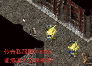 ˽ЩBOSSܱʿٻޣ