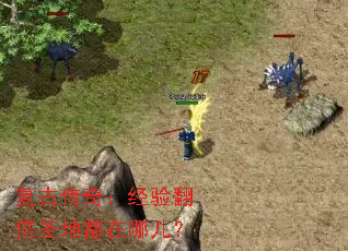 Ŵ棺鷭ʥضĶ