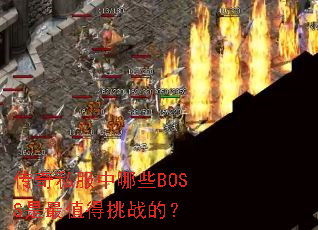 ˽ЩBOSSֵսģ