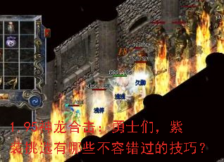 1.95ϻʿǣװѡЩݴļɣ