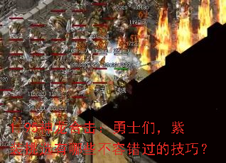 1.95ϻʿǣװѡЩݴļɣ