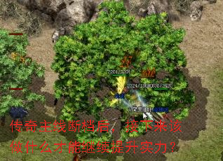 ߶ϵ󣬽ʲôܼʵ