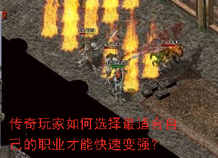 ѡʺԼְҵܿٱǿ