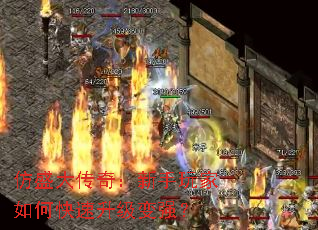 ʢ棺οǿ