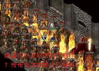 ʱոЧԼɽ