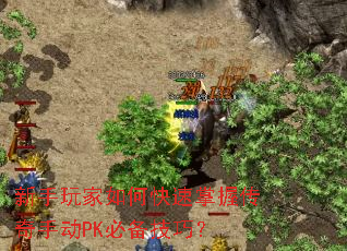 新手玩家如何快速掌握传奇手动PK必备技巧? 新手玩家如何快速掌握传奇手动PK必备技巧?