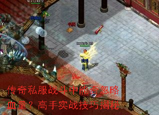传奇私服战斗中能否忽略血量?高手实战技巧揭秘 传奇私服战斗中能否忽略血量?高手实战技巧揭秘