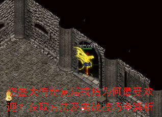 ʢ渴ָΪܻӭȡʵսȫ
