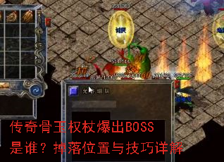 ȨȱBOSS˭λ뼼