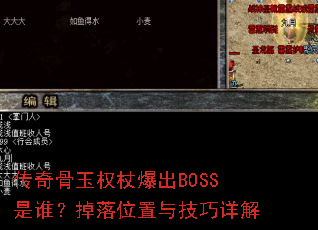 ȨȱBOSS˭λ뼼