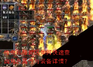 ˽οٲѯɫװ飿