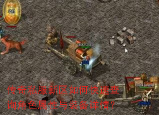 ˽οٲѯɫװ飿