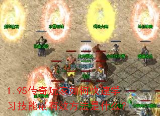 1.95οѧϰЧʲô