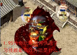 1.95οѧϰЧʲô