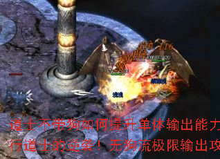 ʿеʿϮ޹