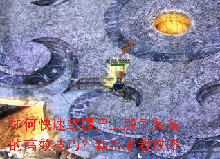 如何快速掌握尸王殿刷装备的高效技巧?新手必看攻略 如何快速掌握尸王殿刷装备的高效技巧?新手必看攻略