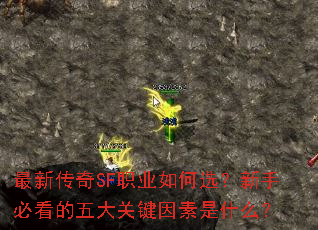 ´SFְҵѡֱؿؼʲô