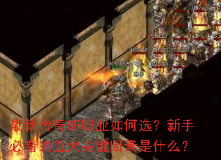 ´SFְҵѡֱؿؼʲô