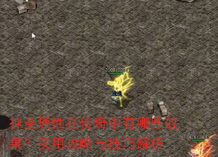 ʥڴЩЧʵù뼼ɽ