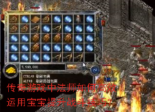 传奇游戏中法师如何高效运用宝宝提升战斗技巧? 传奇游戏中法师如何高效运用宝宝提升战斗技巧?