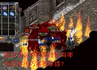 微变传说中日常技能有哪些实用技巧需要掌握? 微变传说中日常技能有哪些实用技巧需要掌握?