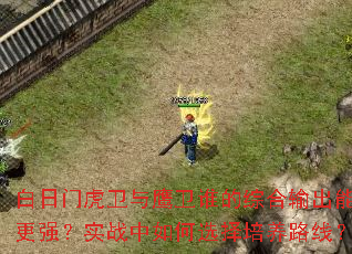 白日门虎卫与鹰卫谁的综合输出能力更强?实战中如何选择培养路线? 白日门虎卫与鹰卫谁的综合输出能力更强?实战中如何选择培养路线?