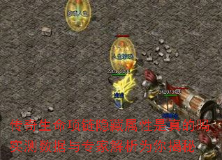 传奇生命项链隐藏属性是真的吗实测数据与专家解析为你揭秘 传奇生命项链隐藏属性是真的吗实测数据与专家解析为你揭秘