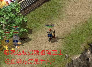 噬魂法杖召唤祖玛卫士的正确方法是什么? 噬魂法杖召唤祖玛卫士的正确方法是什么?