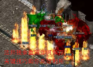 法师残余血液如何保存?关键技巧助你高效利用 法师残余血液如何保存?关键技巧助你高效利用