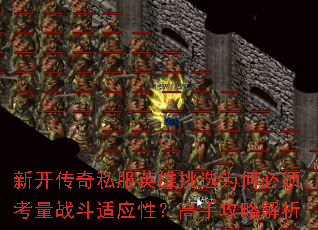 ¿˽ӢѡΪα뿼սӦԣֹԽ