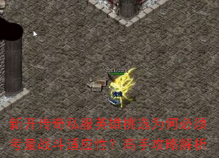 ¿˽ӢѡΪα뿼սӦԣֹԽ