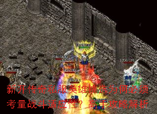 新开传奇私服英雄挑选为何必须考量战斗适应性?高手攻略解析 新开传奇私服英雄挑选为何必须考量战斗适应性?高手攻略解析