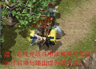 ʿڴսͬʱԦٻΪŶӺģ