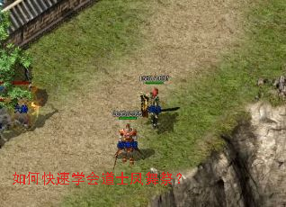 如何快速学会道士凤舞祭? 如何快速学会道士凤舞祭?