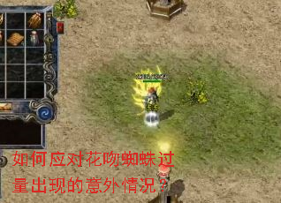 如何应对花吻蜘蛛过量出现的意外情况? 如何应对花吻蜘蛛过量出现的意外情况?