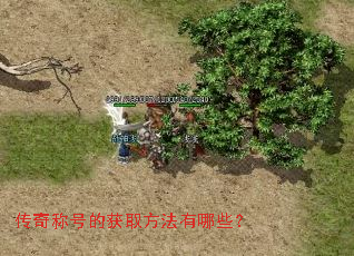 传奇称号的获取方法有哪些? 传奇称号的获取方法有哪些?