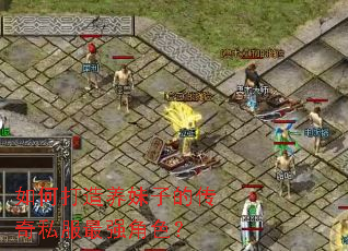 如何打造养妹子的传奇私服最强角色? 如何打造养妹子的传奇私服最强角色?