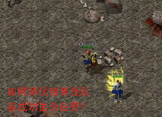 如何蹲伏精英怪玩家成功击杀白野? 如何蹲伏精英怪玩家成功击杀白野?