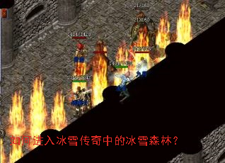 如何进入冰雪传奇中的冰雪森林? 如何进入冰雪传奇中的冰雪森林?