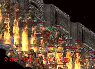 你对道士技能有什么独特见解? 你对道士技能有什么独特见解?