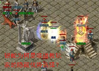 银蛇为何是非道教玩家的隐藏优势选择? 银蛇为何是非道教玩家的隐藏优势选择?