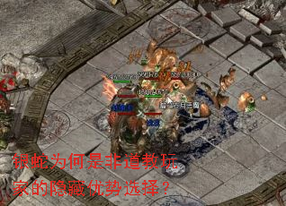 银蛇为何是非道教玩家的隐藏优势选择? 银蛇为何是非道教玩家的隐藏优势选择?