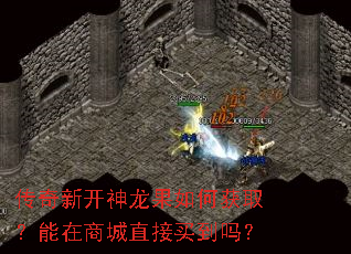 传奇新开神龙果如何获取?能在商城直接买到吗? 传奇新开神龙果如何获取?能在商城直接买到吗?