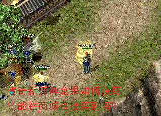 传奇新开神龙果如何获取?能在商城直接买到吗? 传奇新开神龙果如何获取?能在商城直接买到吗?