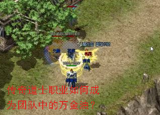 传奇道士职业如何成为团队中的万金油? 传奇道士职业如何成为团队中的万金油?