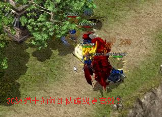 30级道士如何组队练级更高效? 30级道士如何组队练级更高效?