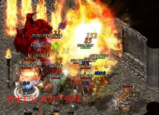 道士职业真的不强吗? 道士职业真的不强吗?