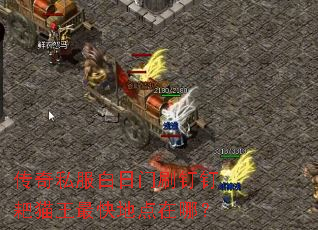 ����˽��������ˢ������è�����ص����ģ�